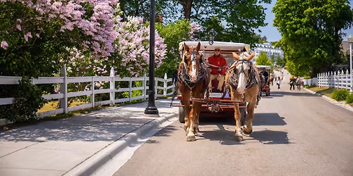 Lilac Festival Weekend