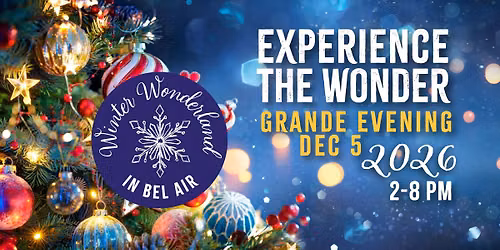 Winter Wonderland in Bel Air GRANDE EVENING