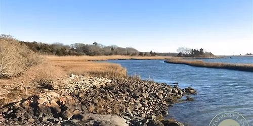 New Year's Day Walk at The Let