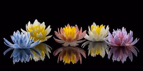 Glass class in pate de verre
