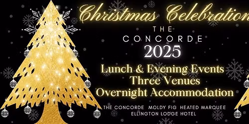 Junior Andre at The Concorde