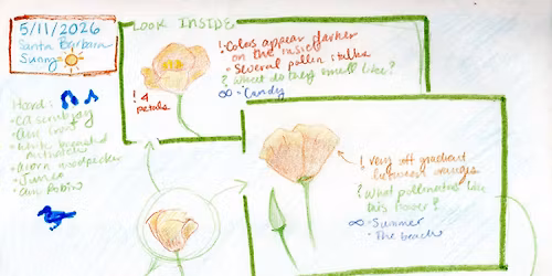 Drop-in Nature Journaling: Birds, Blooms, and Bugs!