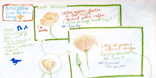Drop-in Nature Journaling: Birds, Blooms, and Bugs!