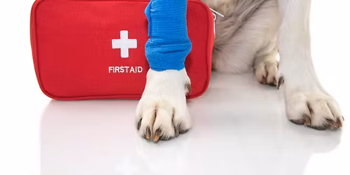 Pet CPR and First Aid Basics Class