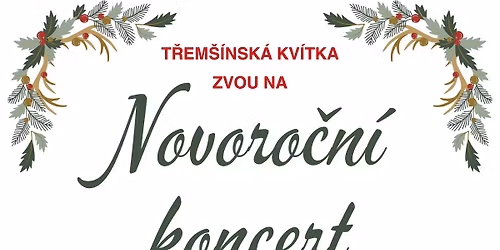 Novoro\u010dn\u00ed koncert T\u0159em\u0161\u00ednsk\u00fdch Kv\u00edtek