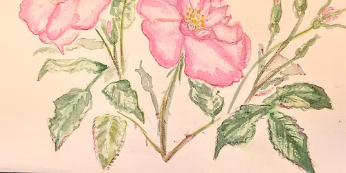 Spring Watercolour Workshop - Arty Farty Easter 2026