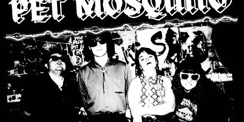 Pet Mosquito, Glitter Bombs, & Mr. Happy - At Aces High Saloon 