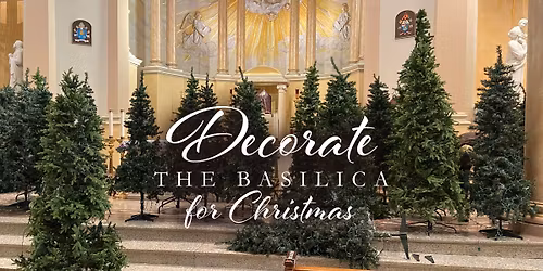 Decorate our Basilica for Christmas