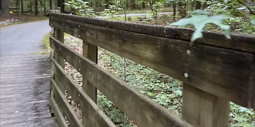 Interwoven: Community in Nature
