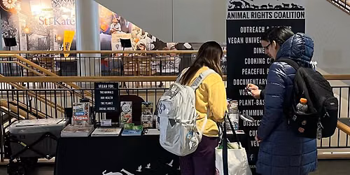 St. Catherine University Job & Internship Fair