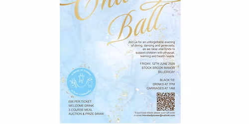 Friends of Pioneer School Charity Ball