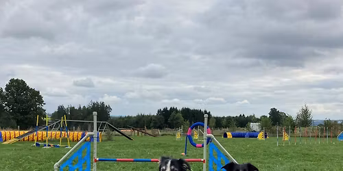 Odpoledn\u00ed Mi\u0148onky - Agility Dvojzkou\u0161ky - \u010cesk\u00e1 B\u011bl\u00e1 u HB