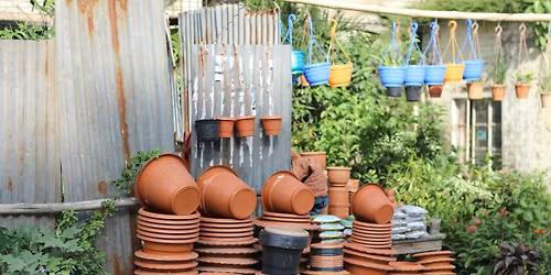 2026: A Year in the Charlottesville Garden