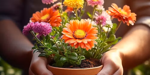 A Gift for your Garden: Telemann & Friends | Ensemble Hesperi | Cream Tea & Concert