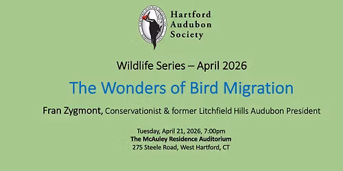 HAS Wildlife Series - The Wonders of Bird Migration
