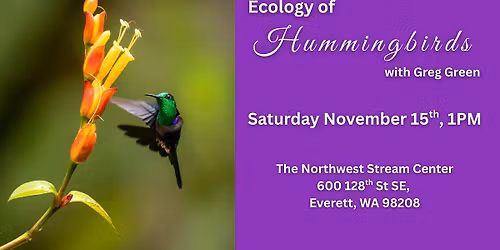 Ecology of Hummingbirds