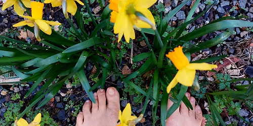 Danser pour danser ! Printemps