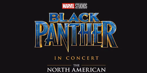 Black Panther in Concert