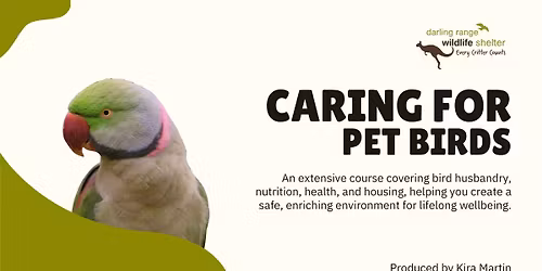 Caring for Pet Birds