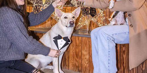 Park-9 New Year's Early Eve Bash