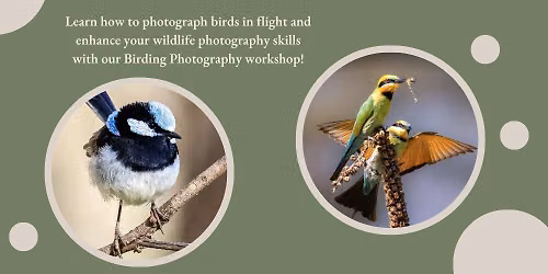 Bird Photography Workshop