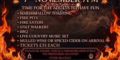 Guy Fawkes Night Fire Party