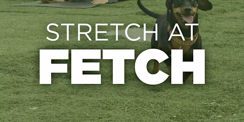 Stretch at Fetch
