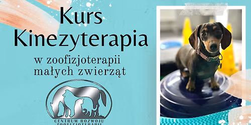 Kurs - Kinezyterapia w zoofizjoterapii ma\u0142ych zwierz\u0105t