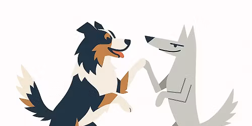 Treningowe Zawody Dog Dancing z Contact Dogs