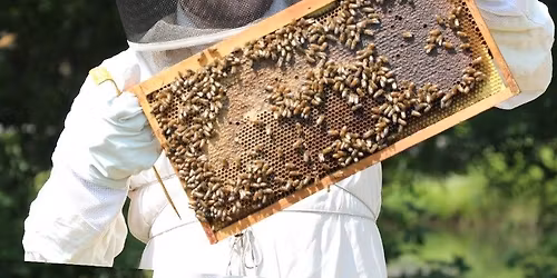 2026 Honey Show + Progress, problems, and new horizons in Varroa control, with Dr. Lewis Bartlett