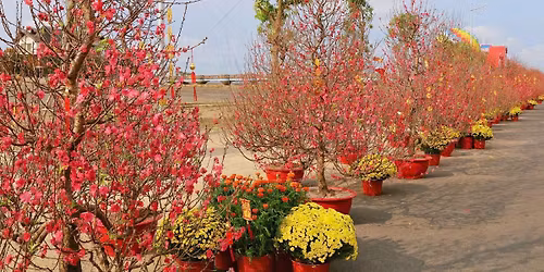 Du xu\u00e2n Vinhomes C\u1ea7n Gi\u1edd