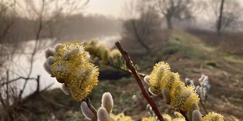 February Friday Walk - Nether Poppleton and Moor Monkton - 10miles\/16km
