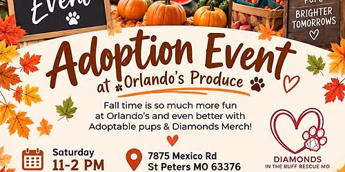 Adoption Event at Orlando\u2019s Produce