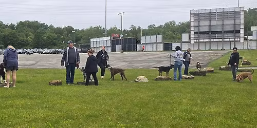 N. Franklin Twp. Park (Wild Things): Flexi-Class (Registration Required)