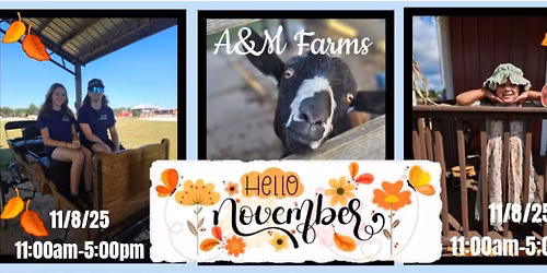 Family Fun Out On The Farm 