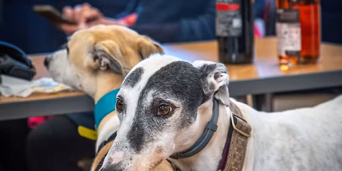 Edington Christmas Fayre