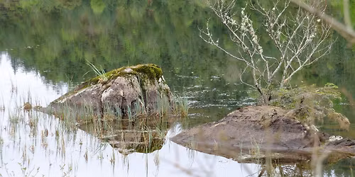 Club Night - Guest Speaker: The Curiosity Man on Historic Guns