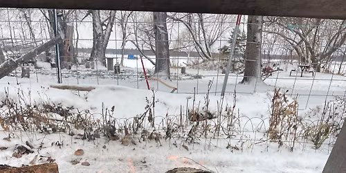 No School Day Winter Survival Camp at the Yurts ages 6 - 12