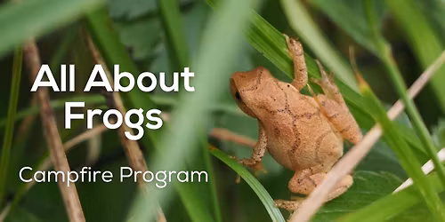 All About Frogs