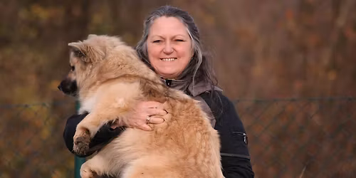 Mehrhundehaltung - Workshop mit Ute Heberer