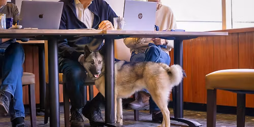 Algemene Ledenvergadering