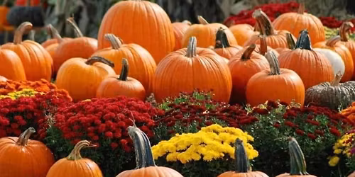 21st Annual Novemberfest - Alvin Rotary Club