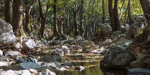 \u03a0\u03b5\u03b6\u03bf\u03c0\u03bf\u03c1\u03af\u03b1 \u03c3\u03c4\u03b7 \u03a3\u03c4\u03b5\u03bd\u03ae (\u03ba\u03c5\u03ba\u03bb\u03b9\u03ba\u03ae \u03b4\u03b9\u03b1\u03b4\u03c1\u03bf\u03bc\u03ae: \u03a3\u03c4\u03b5\u03bd\u03ae - \u0392\u03c1\u03ac\u03c7\u03bf\u03c2 \u03a3\u03c4\u03b5\u03bd\u03ae\u03c2 - \u03a3\u03c4\u03b5\u03bd\u03b9\u03ce\u03c4\u03b9\u03ba\u03bf \u03a1\u03ad\u03bc\u03b1 - \u03a3\u03c4\u03b5\u03bd\u03ae)