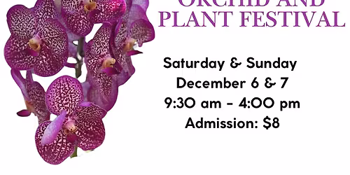 Orchid and Plant Festival