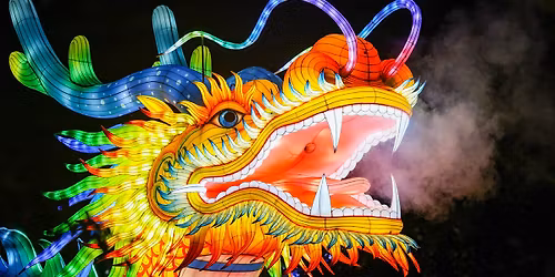 Glow Wild Night Walk at Brookfield Zoo