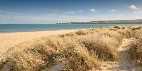 Neurodivergent Nature Walk