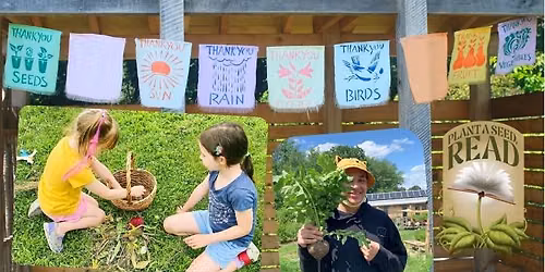 Breezy Seed Engineering Challenge with the Hitchcock Center