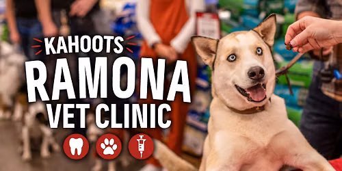 Low Stress Vet Clinic & Teeth Cleaning