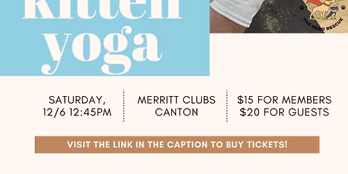 Kitten Yoga 2nd session