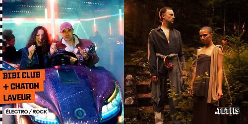 Bibi Club + Chaton Laveur \u00b7 Le Tetris